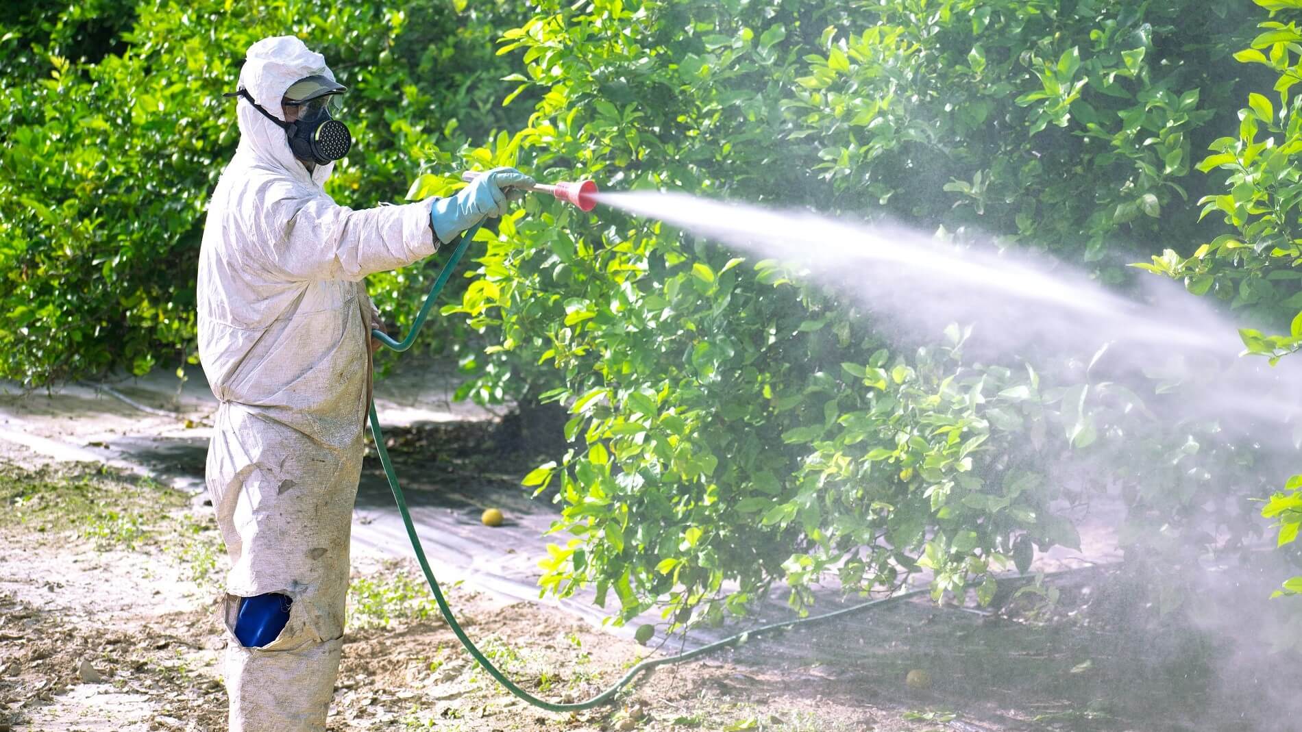 AEPLA seguridad-almacen-fitosanitarios-1 (2) (1)c